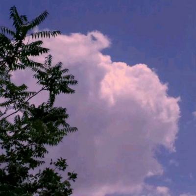 九游魔灵修真手游下载